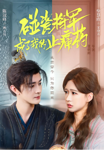 碰瓷将军成了我的止痛药封面图