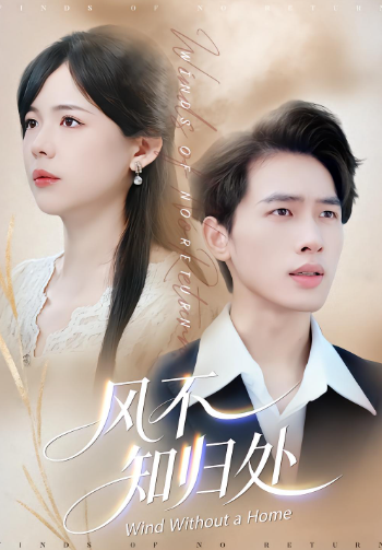 风不知归处封面图