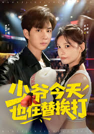 少爷今天也在替挨打封面图