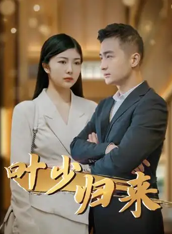 叶少归来封面图