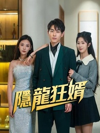 隐龙狂婿