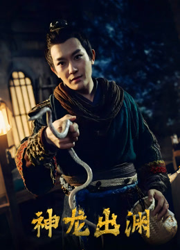 神龙出渊封面图