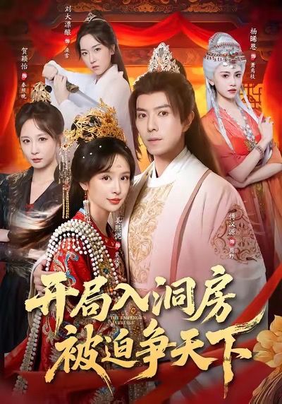开局入洞房被迫争天下