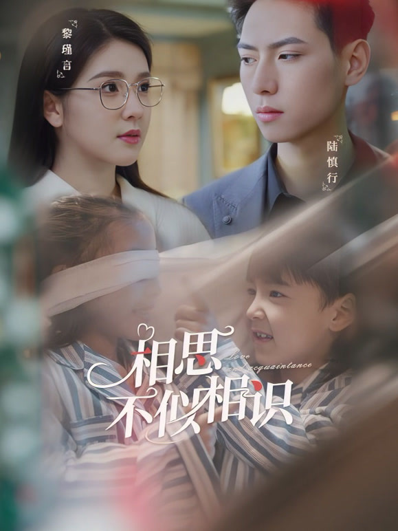相思不似相识封面图