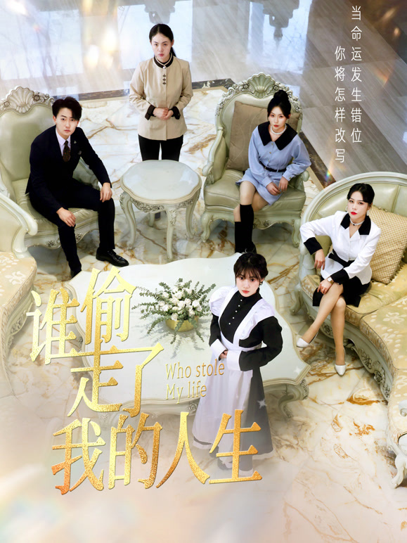 谁偷走了我的人生封面图