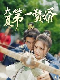 大夏第一赘婿封面图