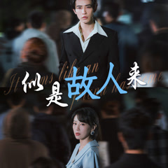 似是故人来封面图