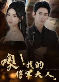 噢我的将军大人封面图