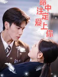 命中注定爱上你封面图