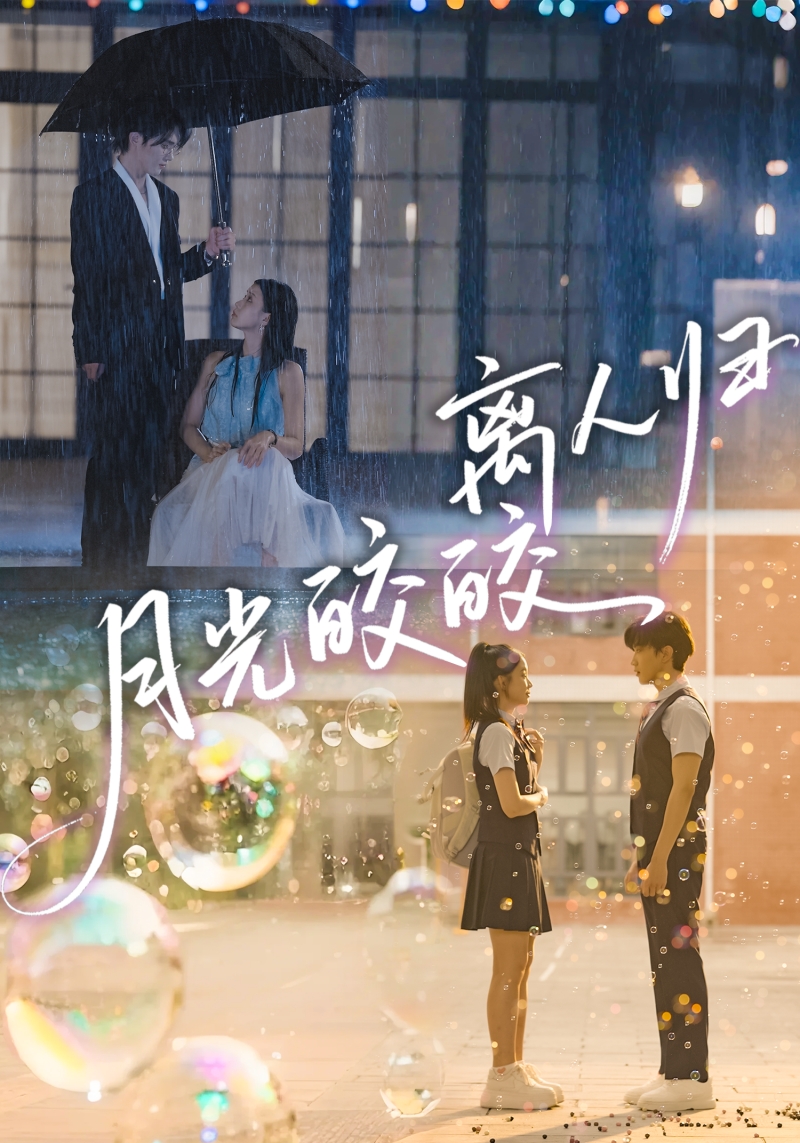 月光皎皎离人归封面图