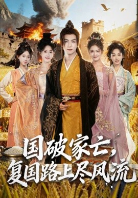 国破家亡，复国路上尽风流封面图