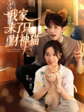 我家来了只财神猫封面图