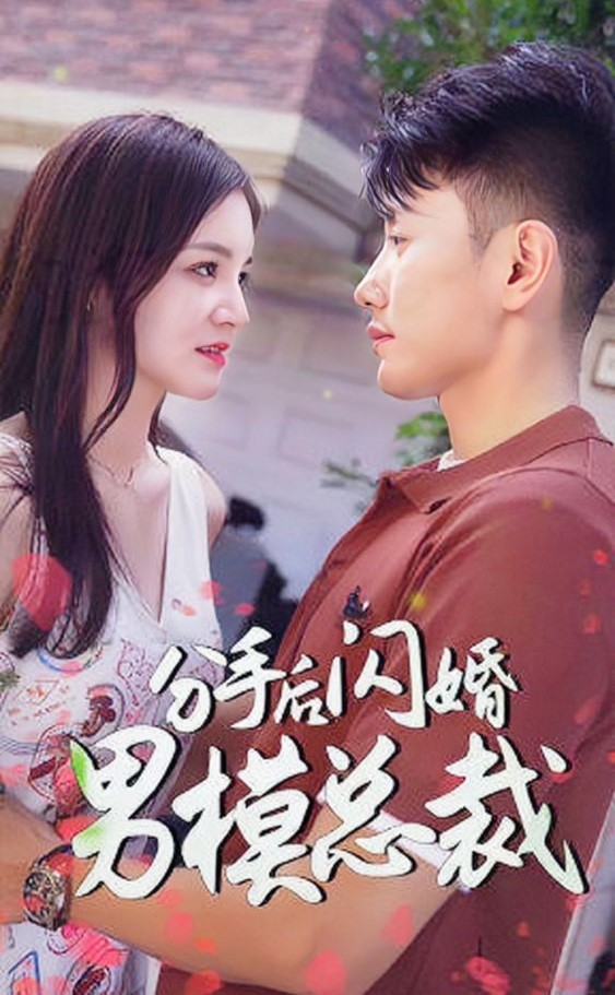 分手后闪婚了男模总裁封面图