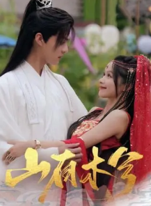 山有木兮封面图