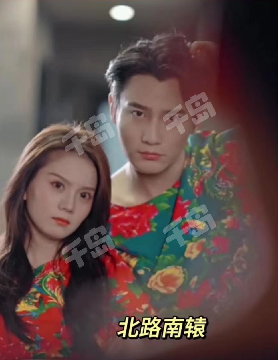 北路南辕封面图