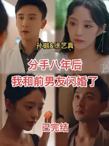 分手八年后我和前男友闪婚了封面图