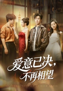 爱意已决，不再相望封面图