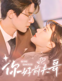 你好前夫哥封面图