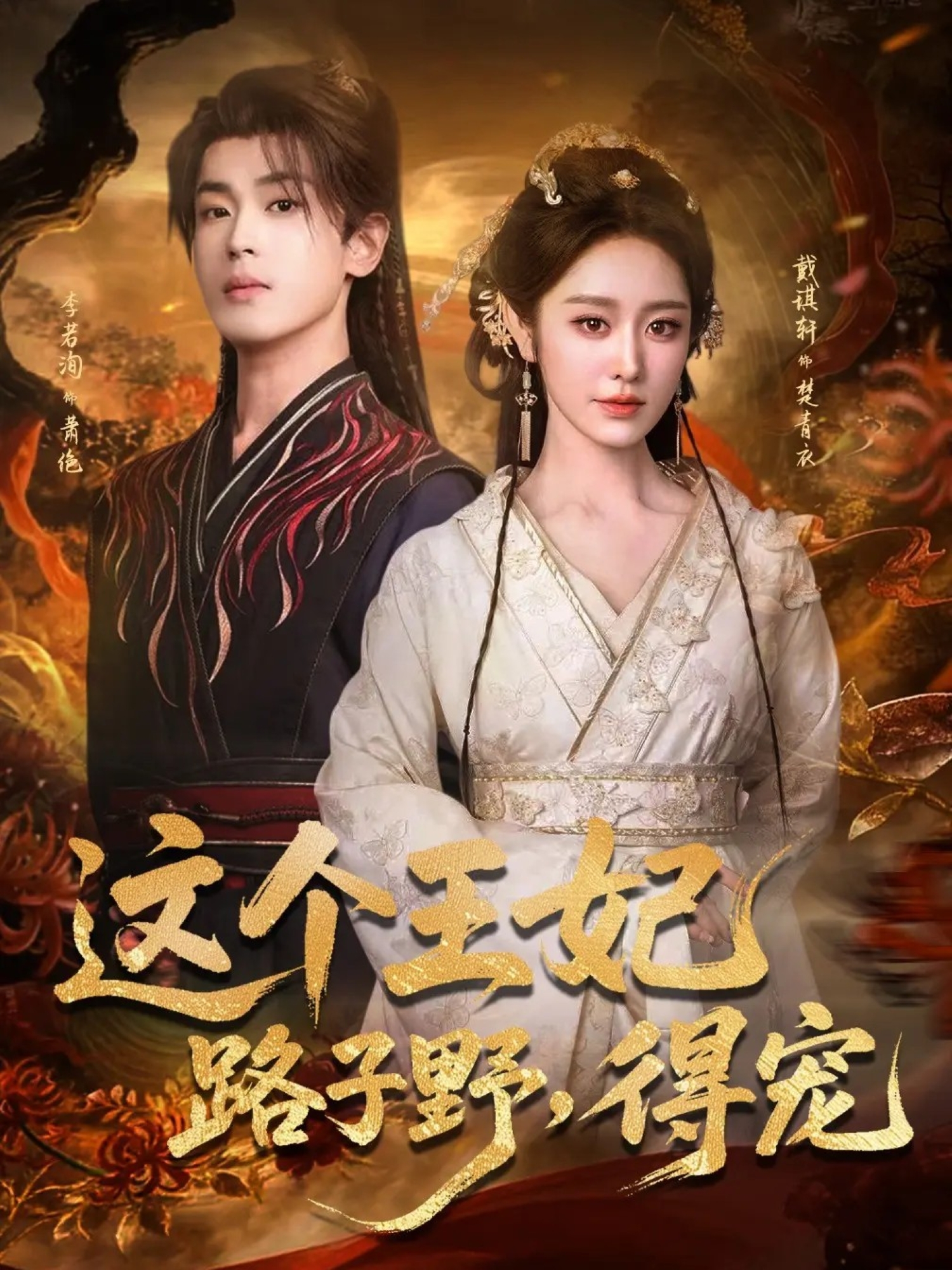 这个王妃路子野得宠