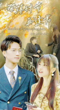 落花时节再逢君封面图