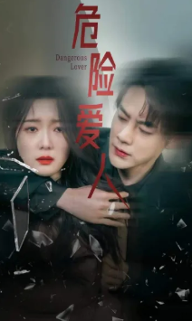 危险爱人封面图