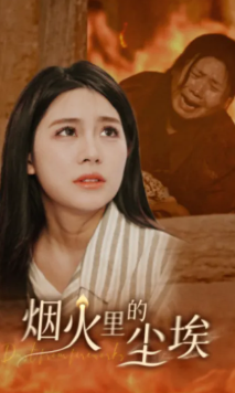 烟火里的尘埃封面图