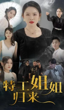 特工姐姐归来封面图