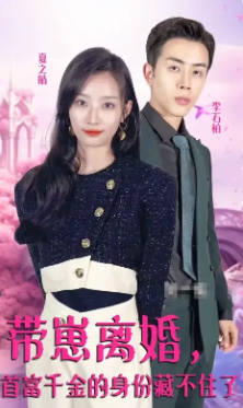 带崽离婚首富千金的身份藏不住了封面图