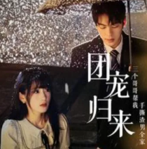 团宠归来三个哥哥帮我手撕渣男全家封面图