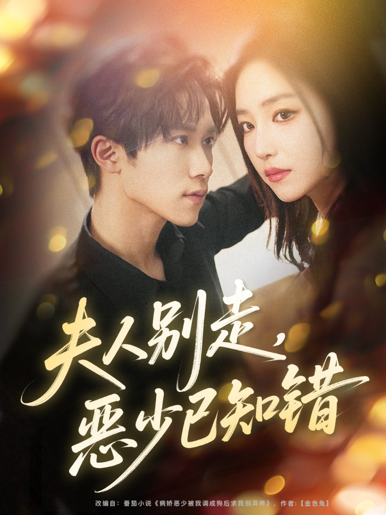 夫人别走恶少已知错封面图