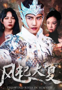 风起大夏封面图