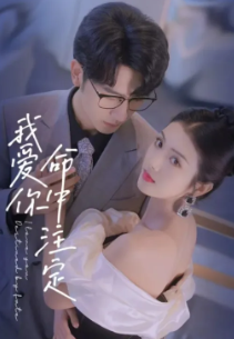 我爱你命中注定封面图