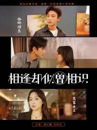 相逢却似曾相识封面图