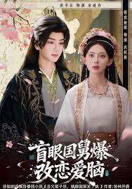 盲眼国舅爆改恋爱脑