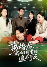 离婚后我成了前妻的遥不可及