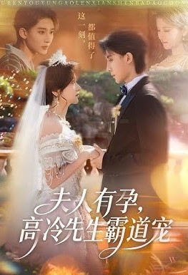 夫人有孕高冷先生霸道宠