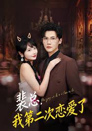 裴总我第二次恋爱了