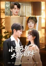 小乞丐与太子爷的黑卡