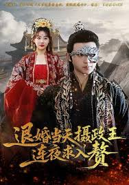 退婚当天摄政王连夜求入赘