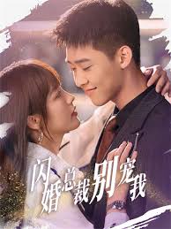 闪婚总裁别宠我