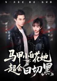 马甲小白花她超会白切黑