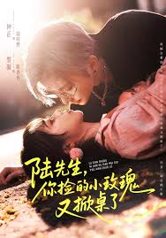 陆先生你捡的小玫瑰又掀桌了