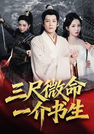 三尺微命一介书生封面图
