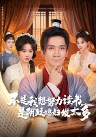 不是我想努力读书，是朝廷发媳妇太多封面图