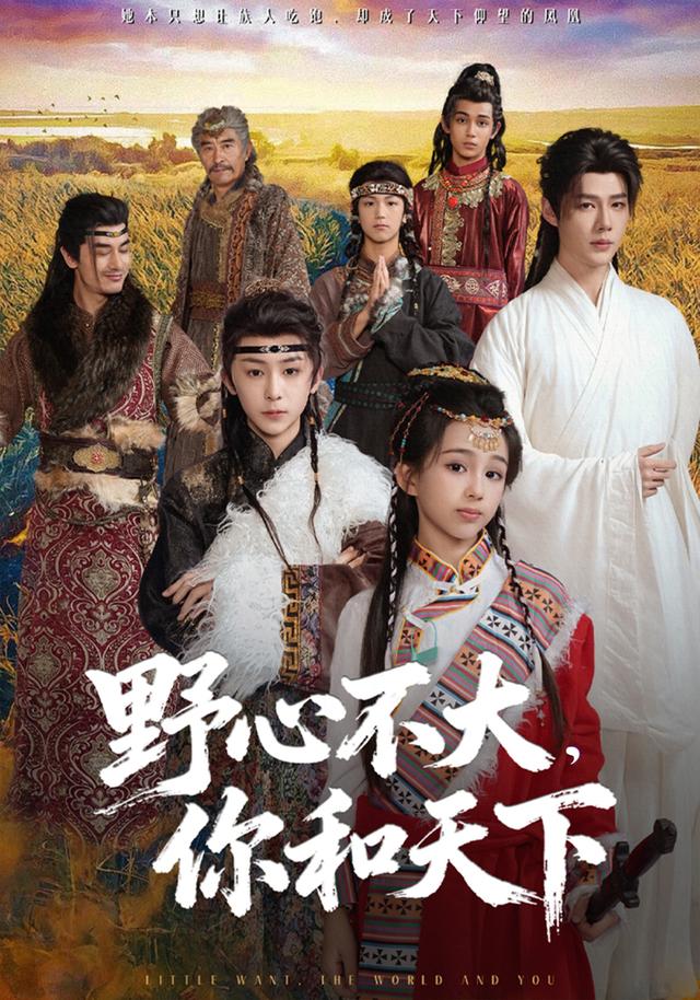 野心不大你和天下