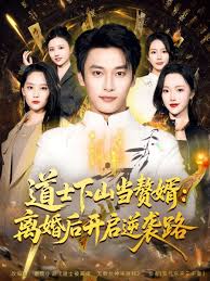 道士下山当赘婿：离婚后开启逆袭路封面图
