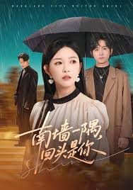 南墙一隅，回头是你封面图