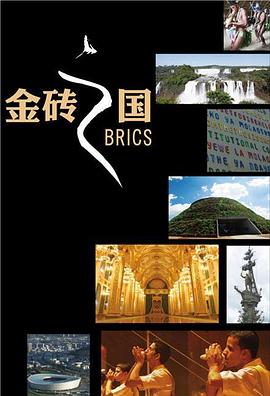 金砖之国封面图