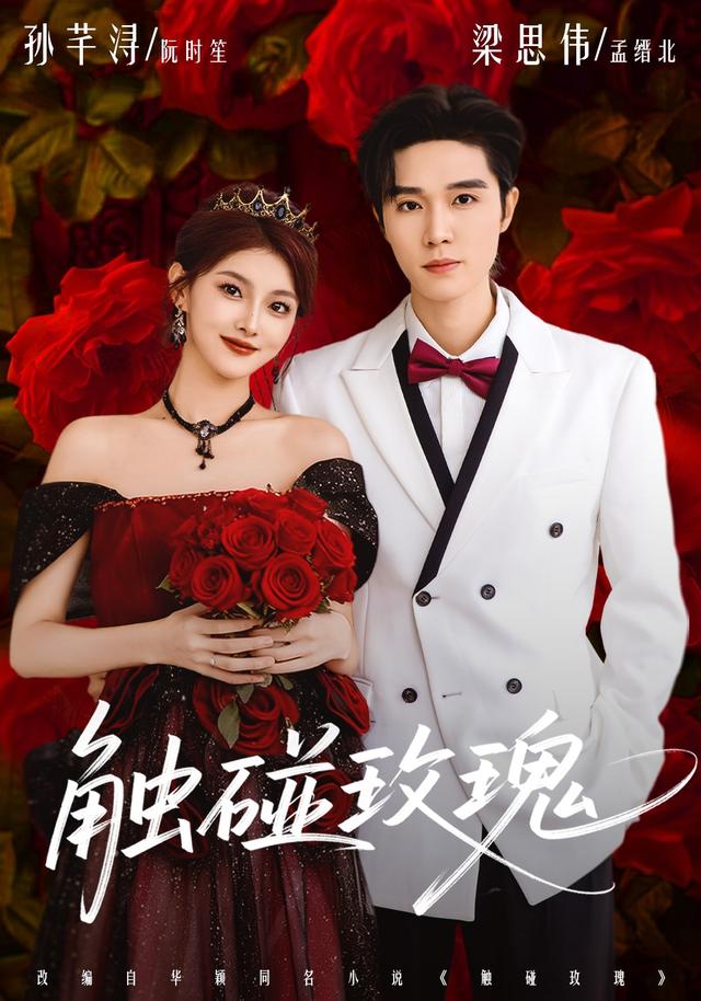 触碰玫瑰封面图