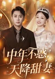 中年不惑天降甜妻